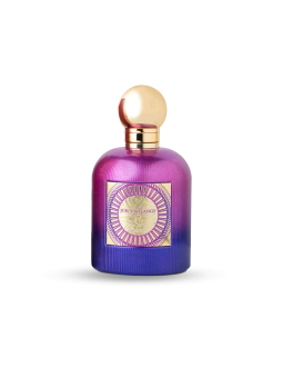 JUICY MELANGE EMIR BY PARIS CORNER EAU DE PARFUM 100ML MIXTE